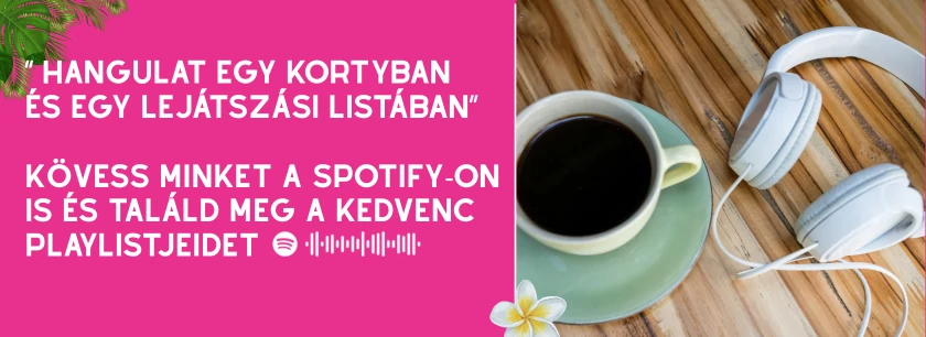 izesmixspotify
